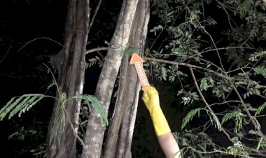 Penemuan-Mayat,-Sat-Reskrim-Polres-TTS-Olah-TKP