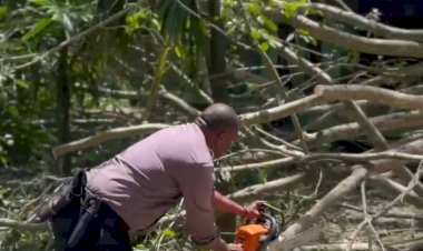 Pohon-Tumbang-Menimpa-Rumah-Warga,-Polres-TTS-Bantu-Evakuasi