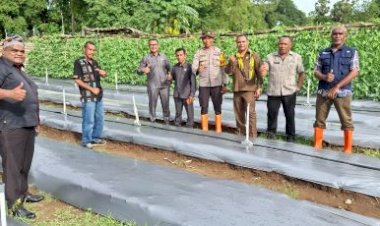 Ubah-Lahan-Pasir-Jadi-Produktif,-Pimpinan-DPRD-TTS-Tinjau-Pekarangan-Pangan-Polsek-Kualin