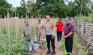 Inovasi-Polsek-Kualin-Ubah-Lahan-Pasir-Jadi-Kebun-Produktif,-Anggota-Komisi-IV-DPR-RI- Beri-Apresiasi