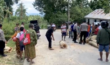 Respon-Laporan-Warga,-Polres-TTS-Evakuasi--Pohon-Tumbang-yang-Menggangu-Arus--Lalu-Lintas