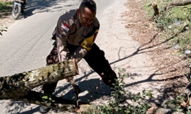 Bhabinkamtibmas-Kota-Soe-Gotong-Royong-Bersama-Warga-Evakuasi-Pohon-Tumbang