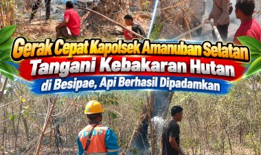 Gerak-Cepat-Kapolsek-Amanuban-Selatan-Tangani-Kebakaran-Hutan-di-Besipae,-Api-Berhasil-Dipadamkan