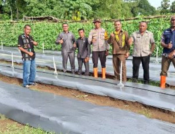 Ubah Lahan Pasir Jadi Produktif, Pimpinan DPRD TTS Tinjau Pekarangan Pangan Polsek Kualin