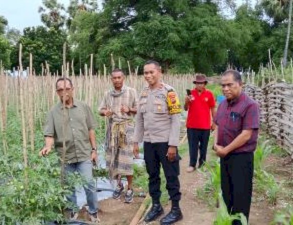 Inovasi Polsek Kualin Ubah Lahan Pasir Jadi Kebun Produktif, Anggota Komisi IV DPR RI  Beri Apresiasi