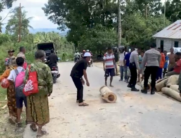 Respon Laporan Warga, Polres TTS Evakuasi  Pohon Tumbang yang Menggangu Arus  Lalu Lintas