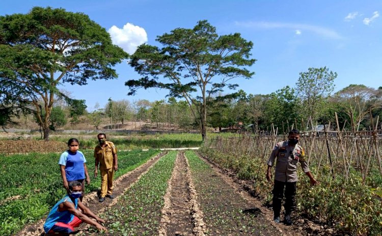 Kunjungi Kelompok Tani, Bhabinkamtibmas Beri Apresiasi