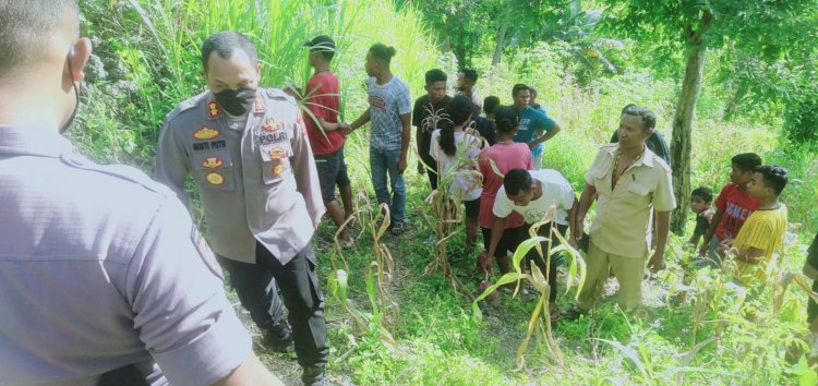 Kapolres TTS, Turun Lapangan Cek Langsung Penemuan Mayat