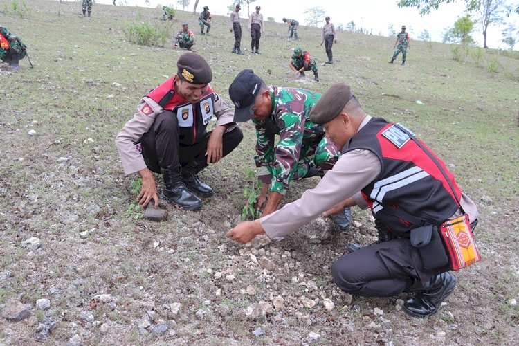 HIjaukan Alam, Bersinergi Polres TTS dan Kodim 1621 Tanam Anakan Pohon