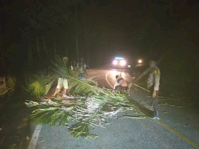 Respon Cepat , Bhabinkamtibmas Bersama Warga Bersihkan Pohon Tumbang Yang Menutupi Jalur Jalan Raya