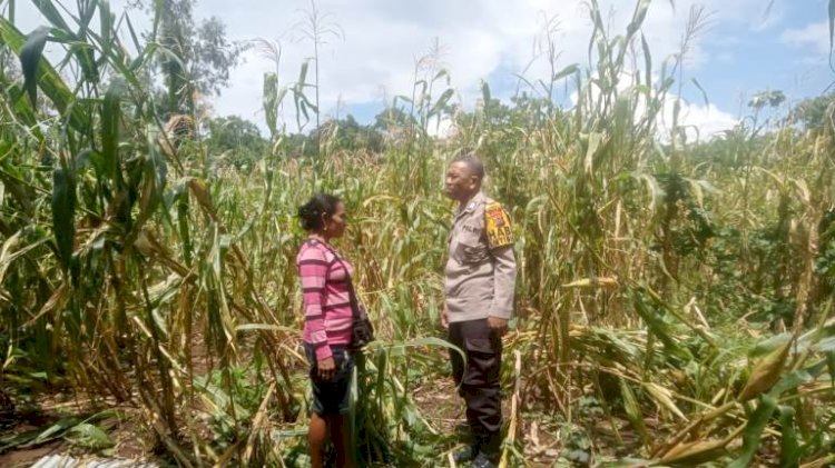 Dorong Peningkatan Ketahan Pangan, Bhabinkamtibmas Sambang ke Kelompok Tani