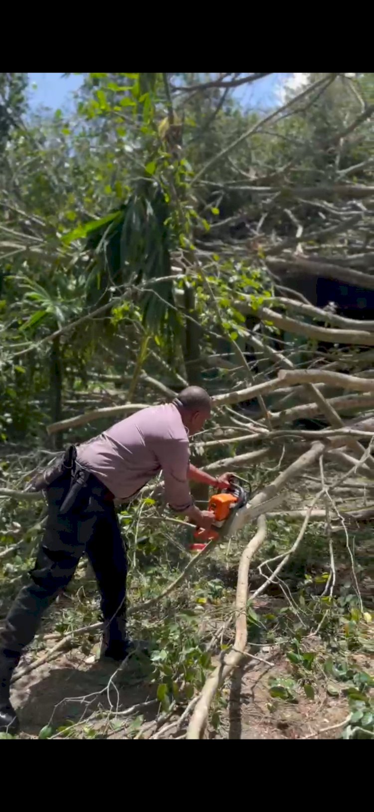 Pohon Tumbang Menimpa Rumah Warga, Polres TTS Bantu Evakuasi