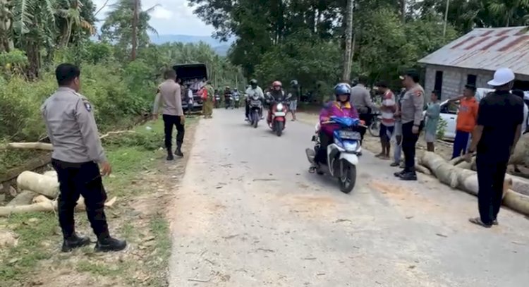 Respon Laporan Warga, Polres TTS Evakuasi  Pohon Tumbang yang Menggangu Arus  Lalu Lintas