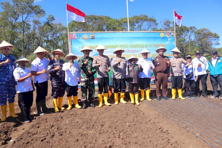 Polda NTT, Polres TTS, dan Pemkab TTS Gelar Penanaman Bawang Putih Serentak Terintegrasi