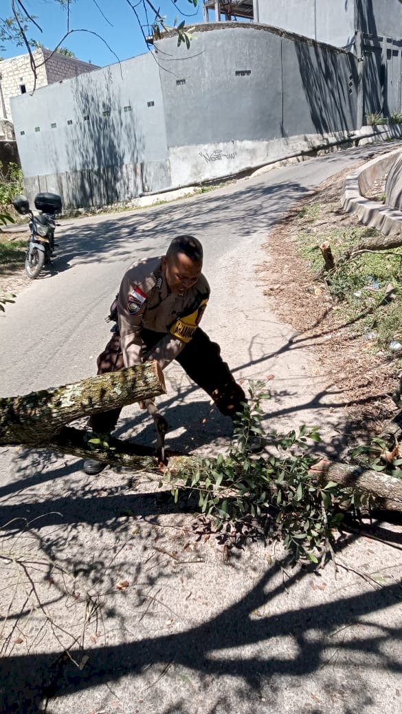 Bhabinkamtibmas Kota Soe Gotong Royong Bersama Warga Evakuasi Pohon Tumbang