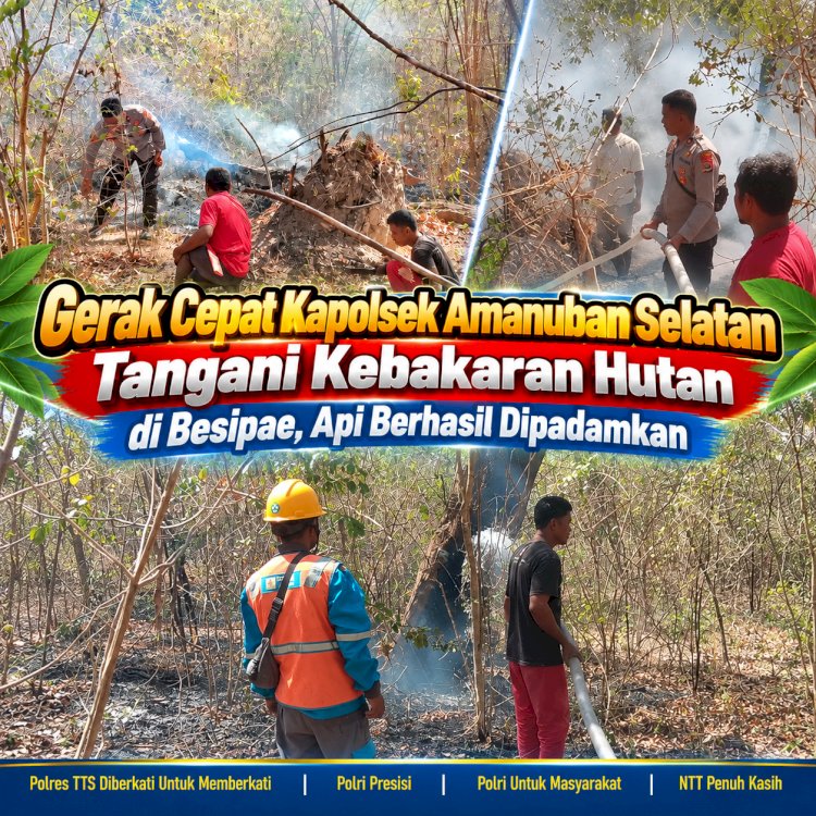 Gerak Cepat Kapolsek Amanuban Selatan Tangani Kebakaran Hutan di Besipae, Api Berhasil Dipadamkan
