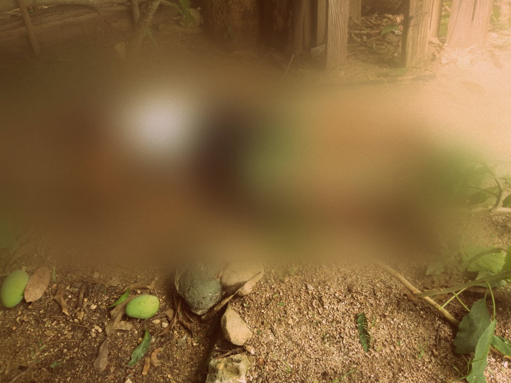 Diduga gara-gara memetik Mangga, Korban NN Tersengat Listrik dan Meninggal Dunia