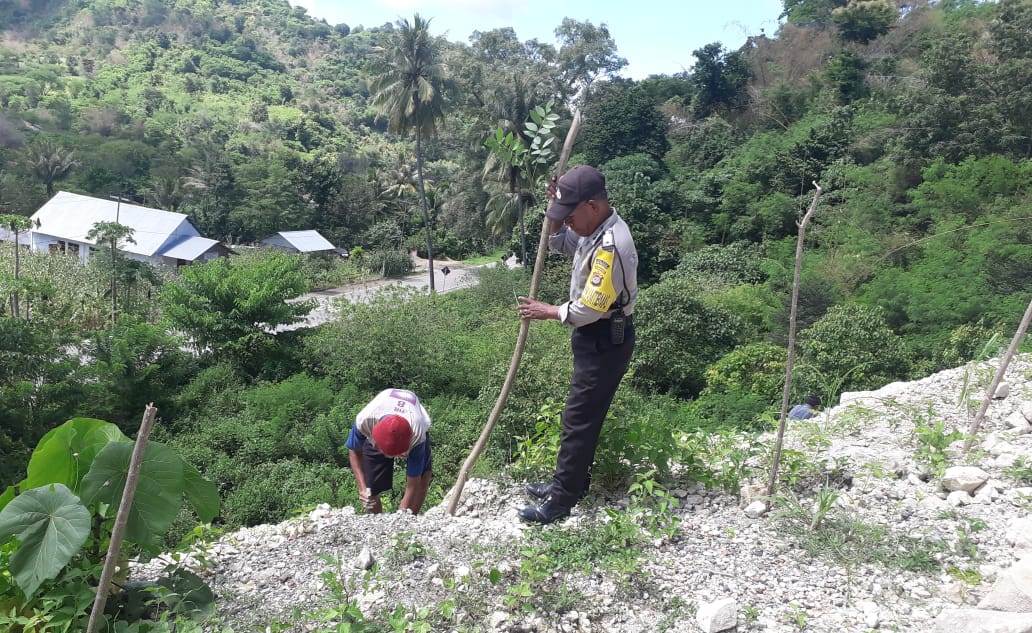 Antisipasi bencana Tanah Longsor, Bhabin Bersama Warga Tanam Pohon
