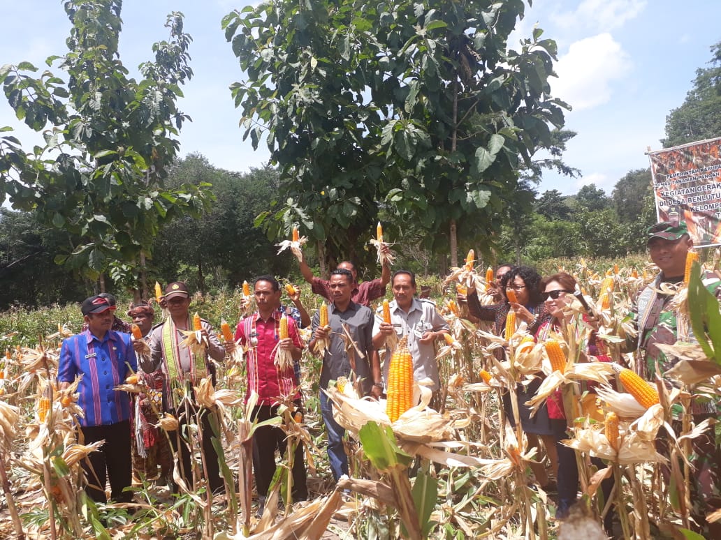 Kasat Binmas Hadiri Panen Raya Jagung