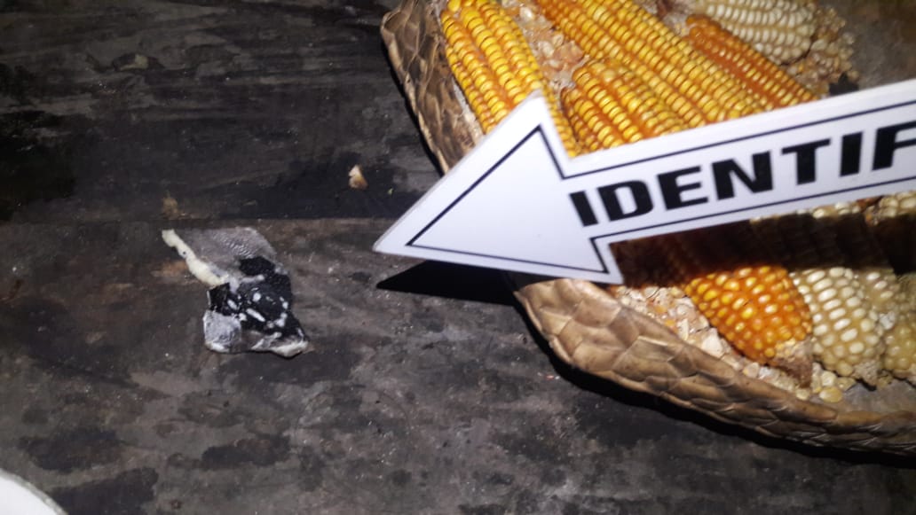 Tiga Orang Meninggal di Duga Keracunan Ikan, Sat Reskim Polres TTS Melakukan Olah TKP