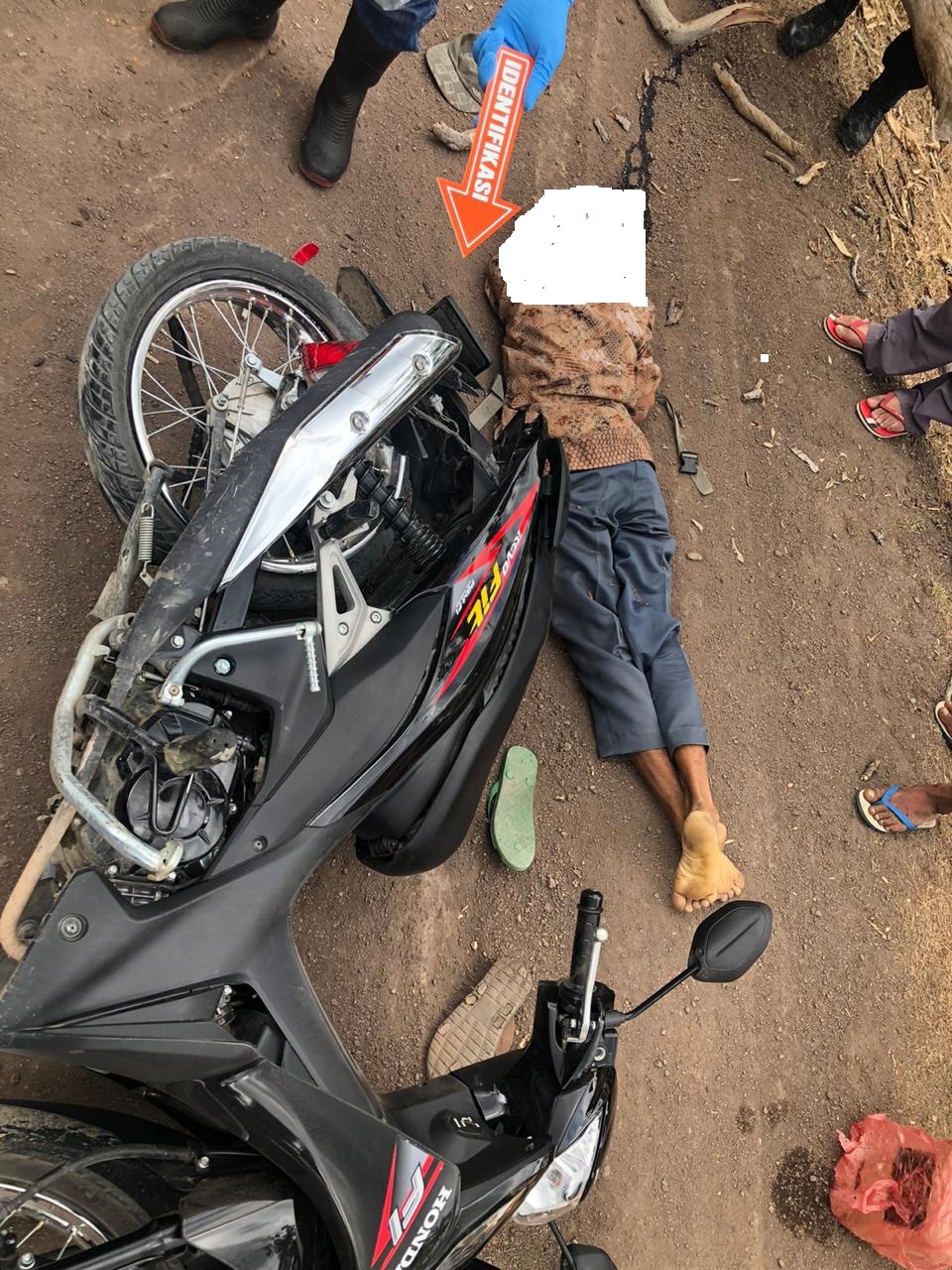 Pohon Tumbang Ketimpa Warga dan Meninggal , Sat Rekrim Polres TTS Olah TKP
